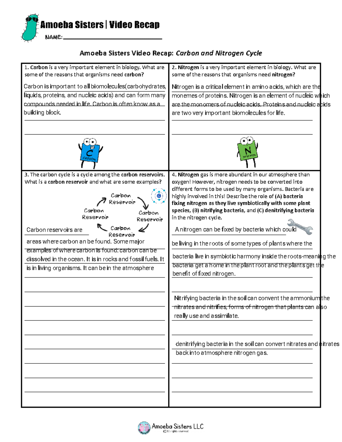 Kami Export BEAU Briscoe Carbon And Nitrogen Cycle By Amoeba 