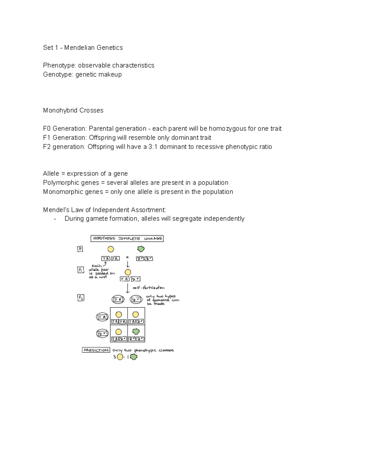 Biol 239 Set 1 Mendelian Genetics Set 1 Mendelian Genetics   Thumb 1200 1553 