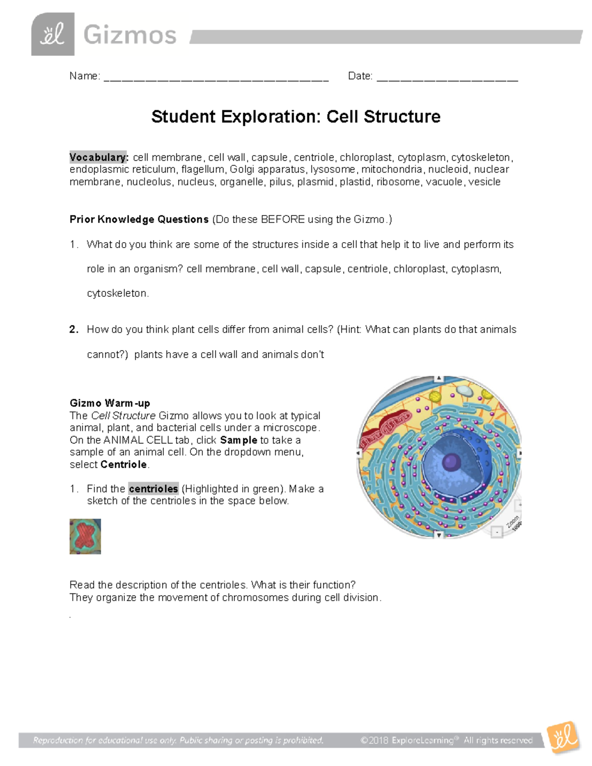 Cell Structure Gizmo SE - Name ...