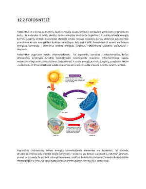 16.1 Reakcijos greicio konstantos priklausomybe nuo temperaturos - 6 ...