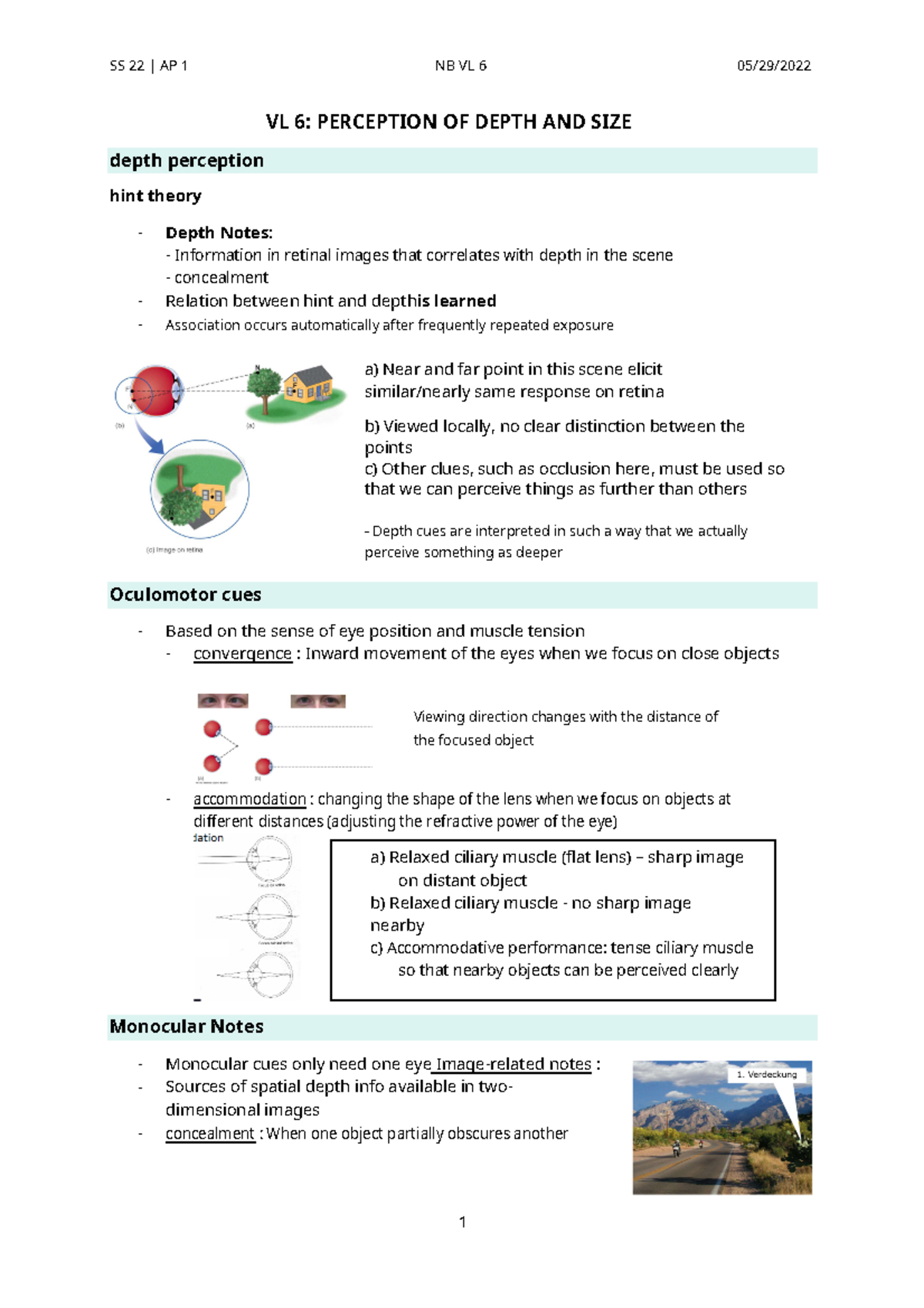 Summary 6.1 - Depth perception and and motor cues - SS 22 | AP 1 NB VL ...