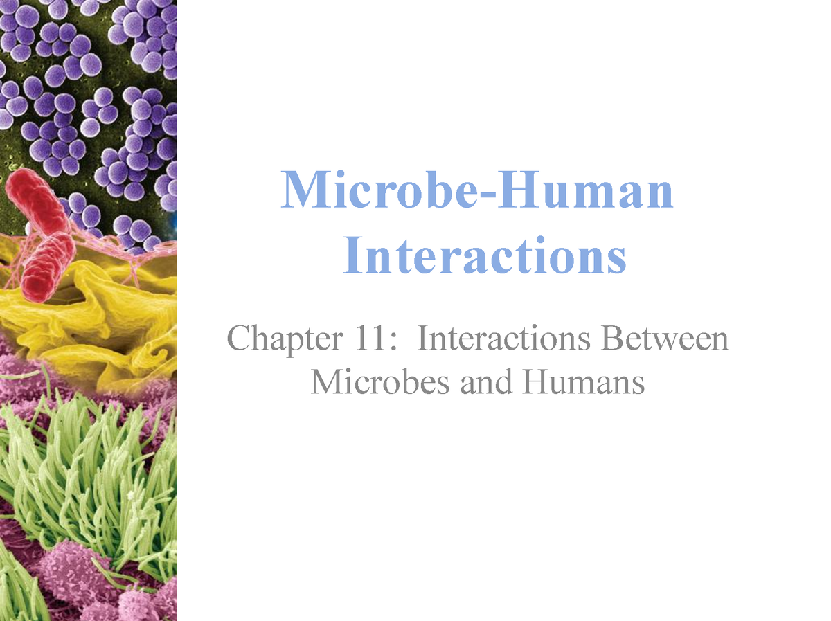 15-16 Microbe-human Interactions 21-1 - Microbe-Human Interactions ...