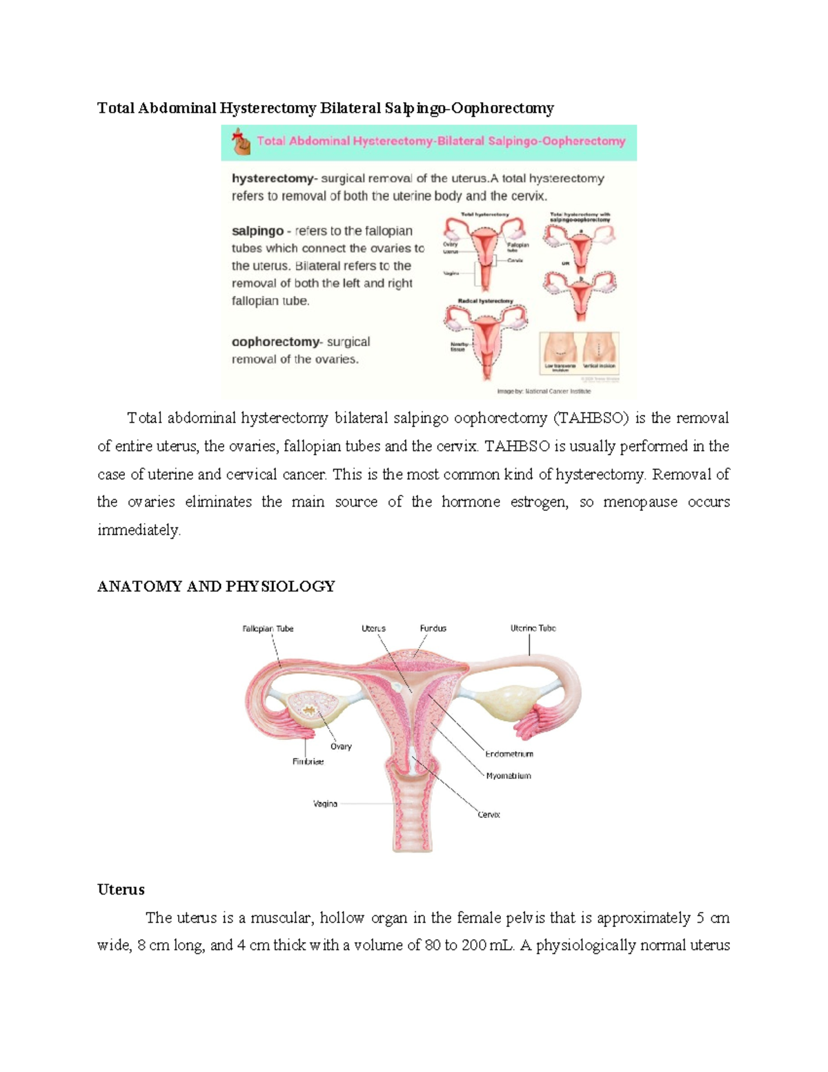 Tahbso - Total Abdominal Hysterectomy Bilateral Salpingo-oophorectomy 