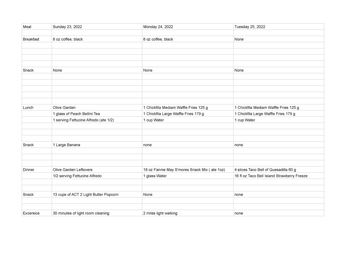 Three Day Food Record Example