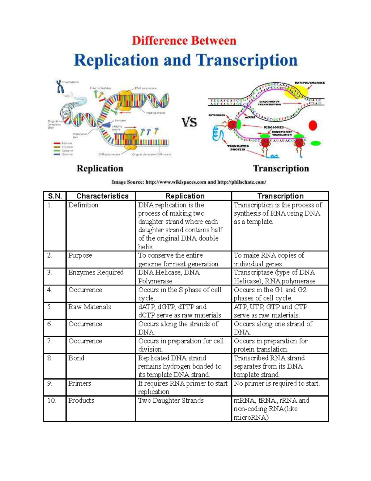 Difference Between Replication And Transcription S Characteristics