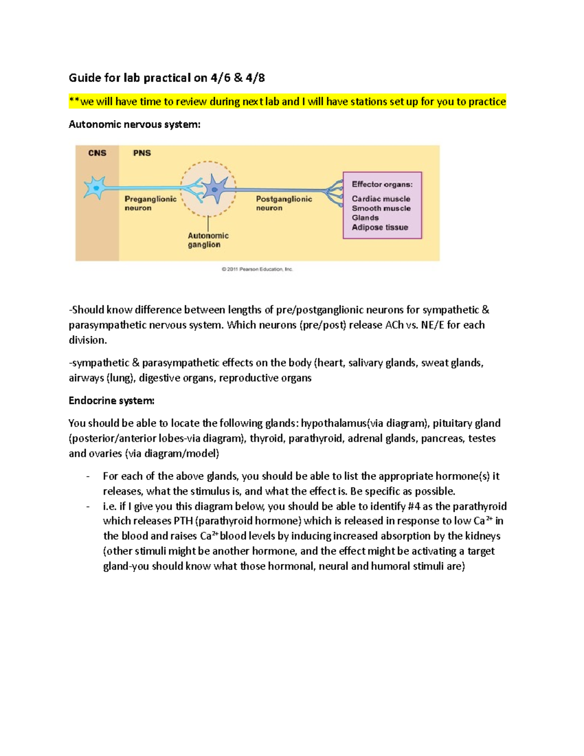 Study guide for lab practical - Guide for lab practical on 4/6 & 4 ...