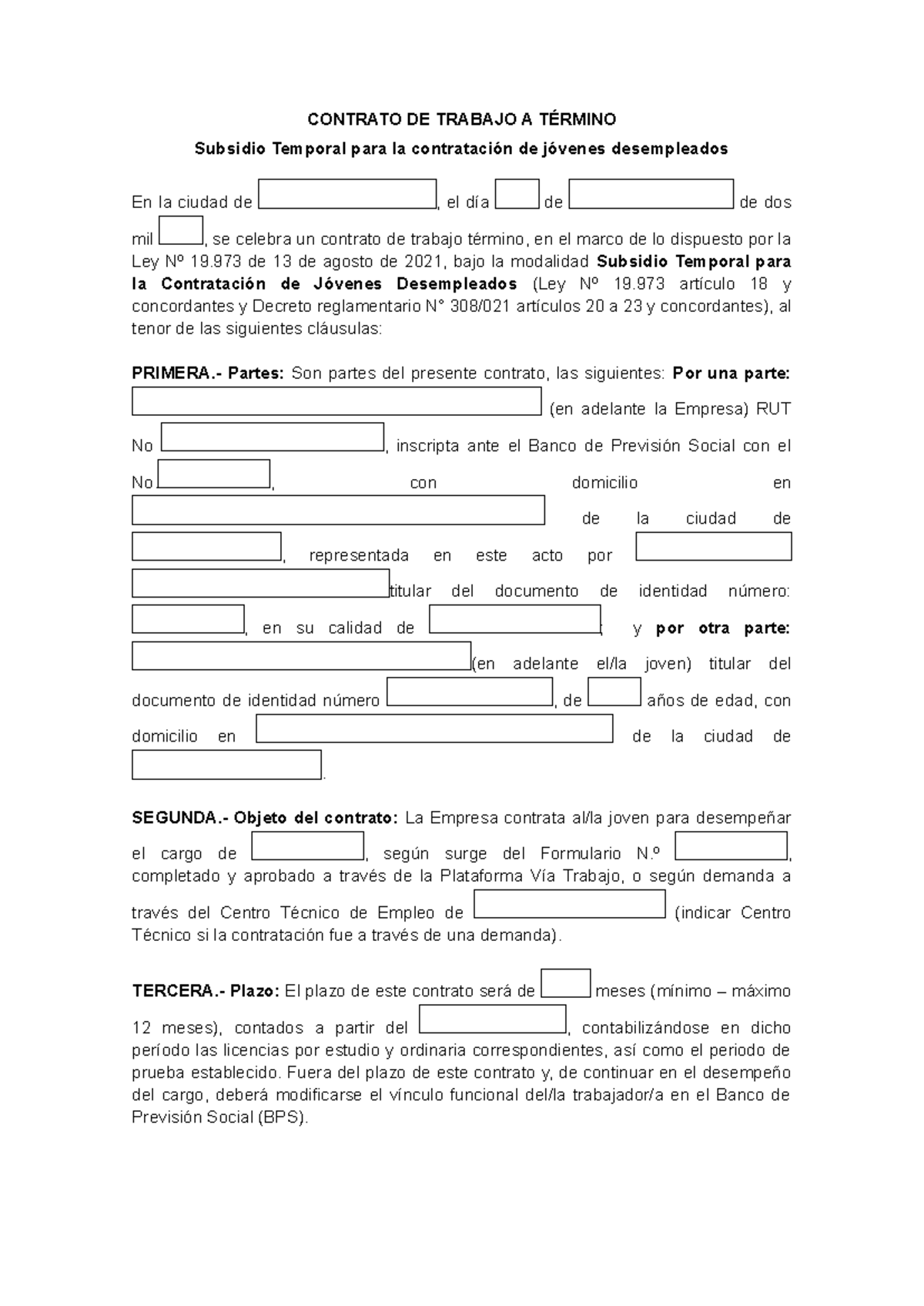 Empresa+-+Subsidio+Temporal+para+la+contratación+de+jóvenes ...