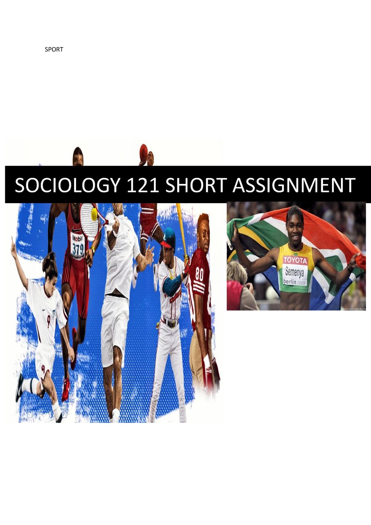 Sociology 121 - SPORT SOCIOLOGY 121 SHORT ASSIGNMENT INTRODUCTION As ...