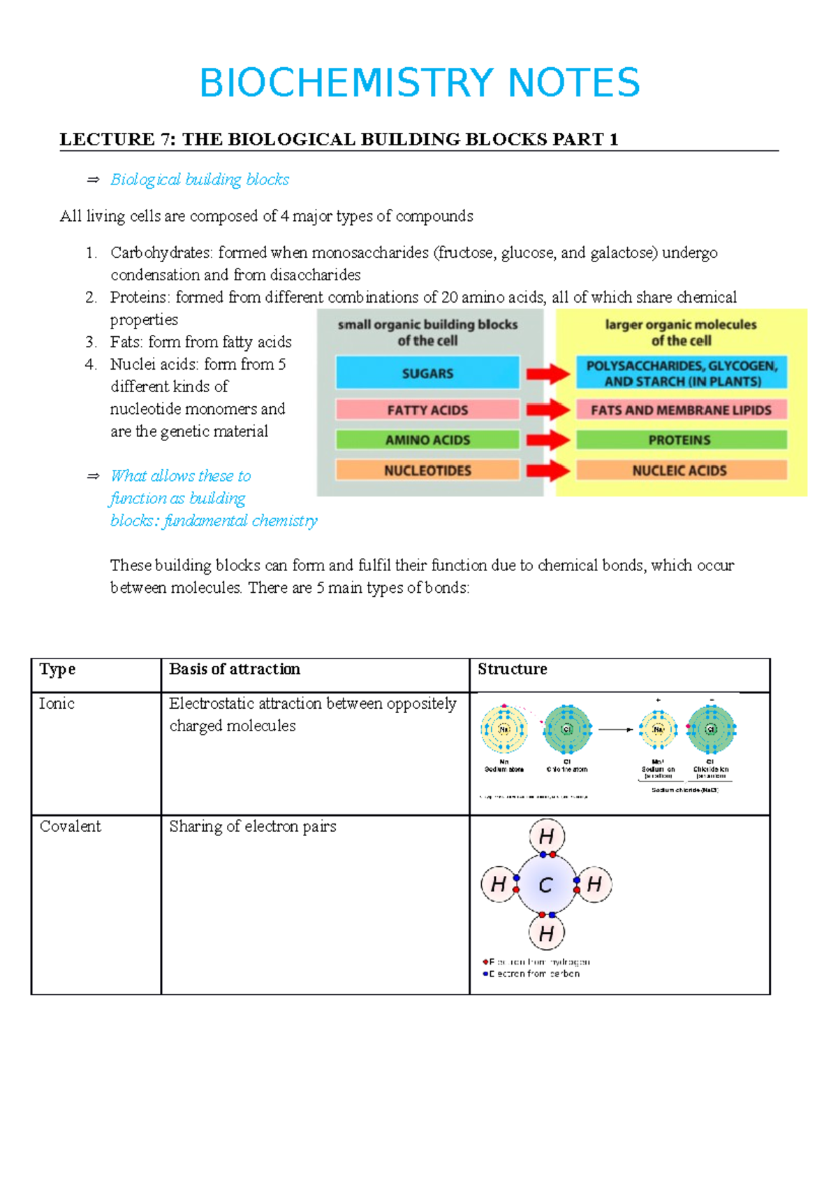 Biochemistry Notes - BIOCHEMISTRY NOTES LECTURE 7: THE BIOLOGICAL ...