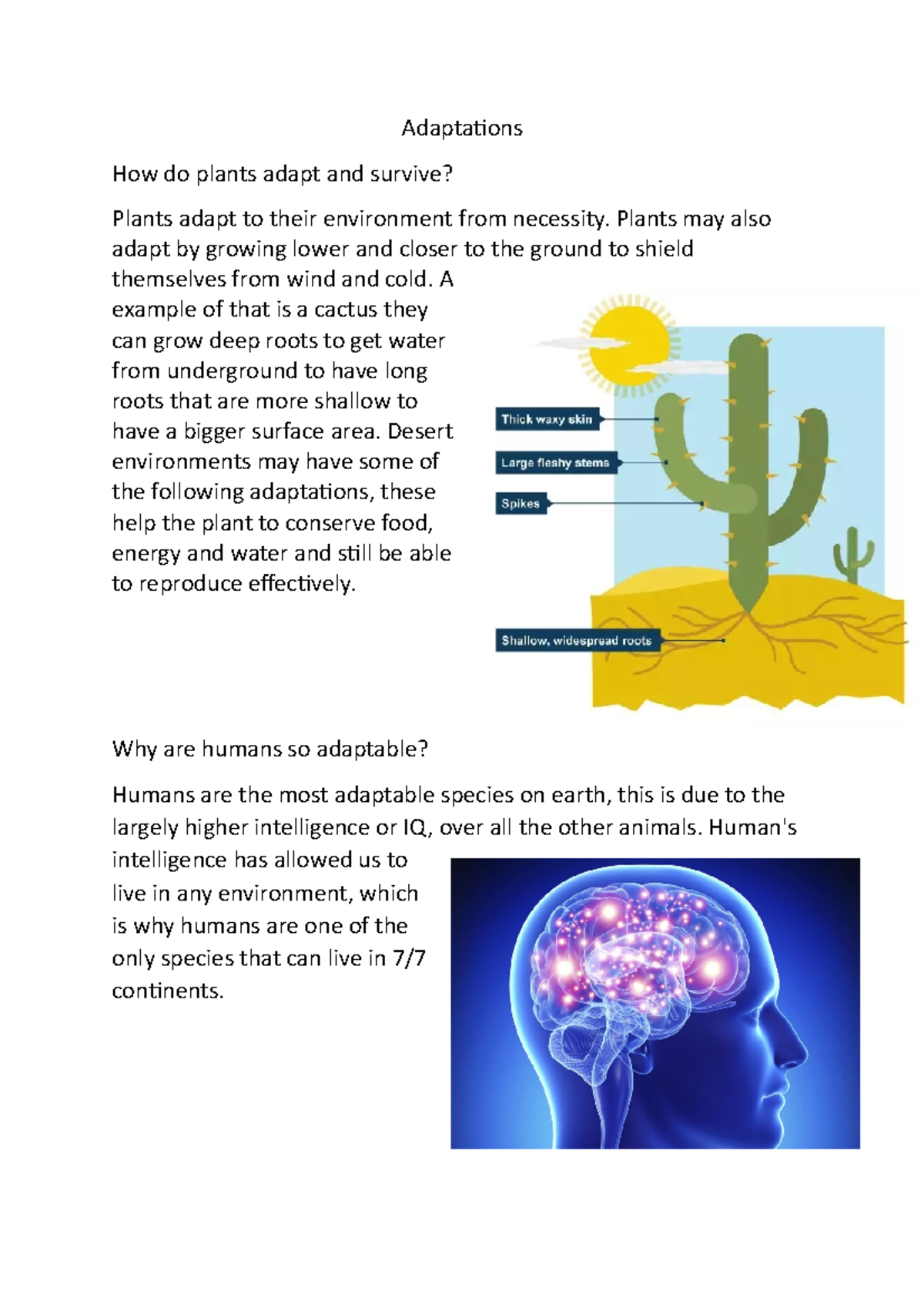 Adaptations 2 Adaptations How do plants adapt and survive? Plants