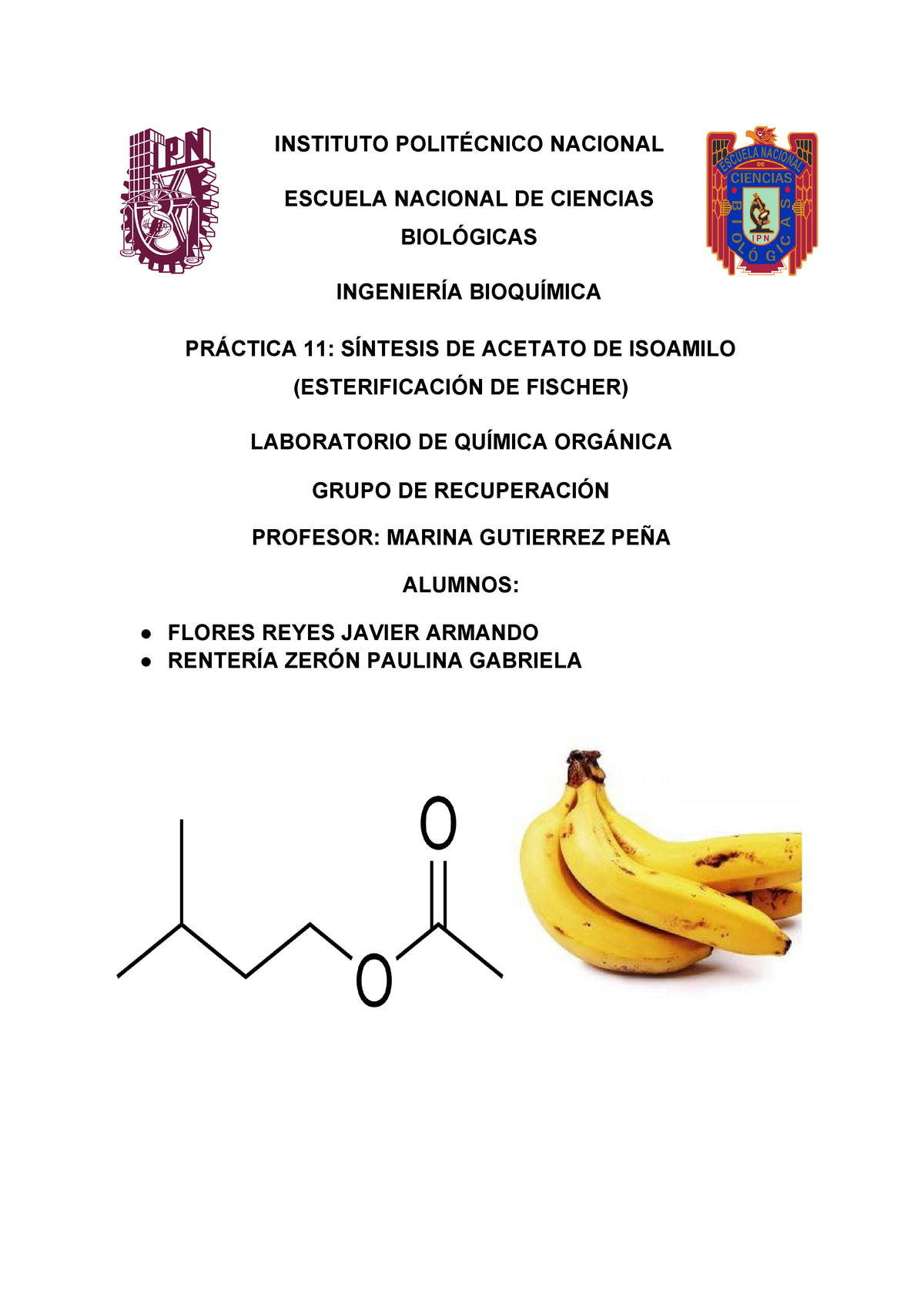 Reporte Síntesis De Acetato De Isoamilo Esterificación De Fischer Instituto PolitÉcnico 2300