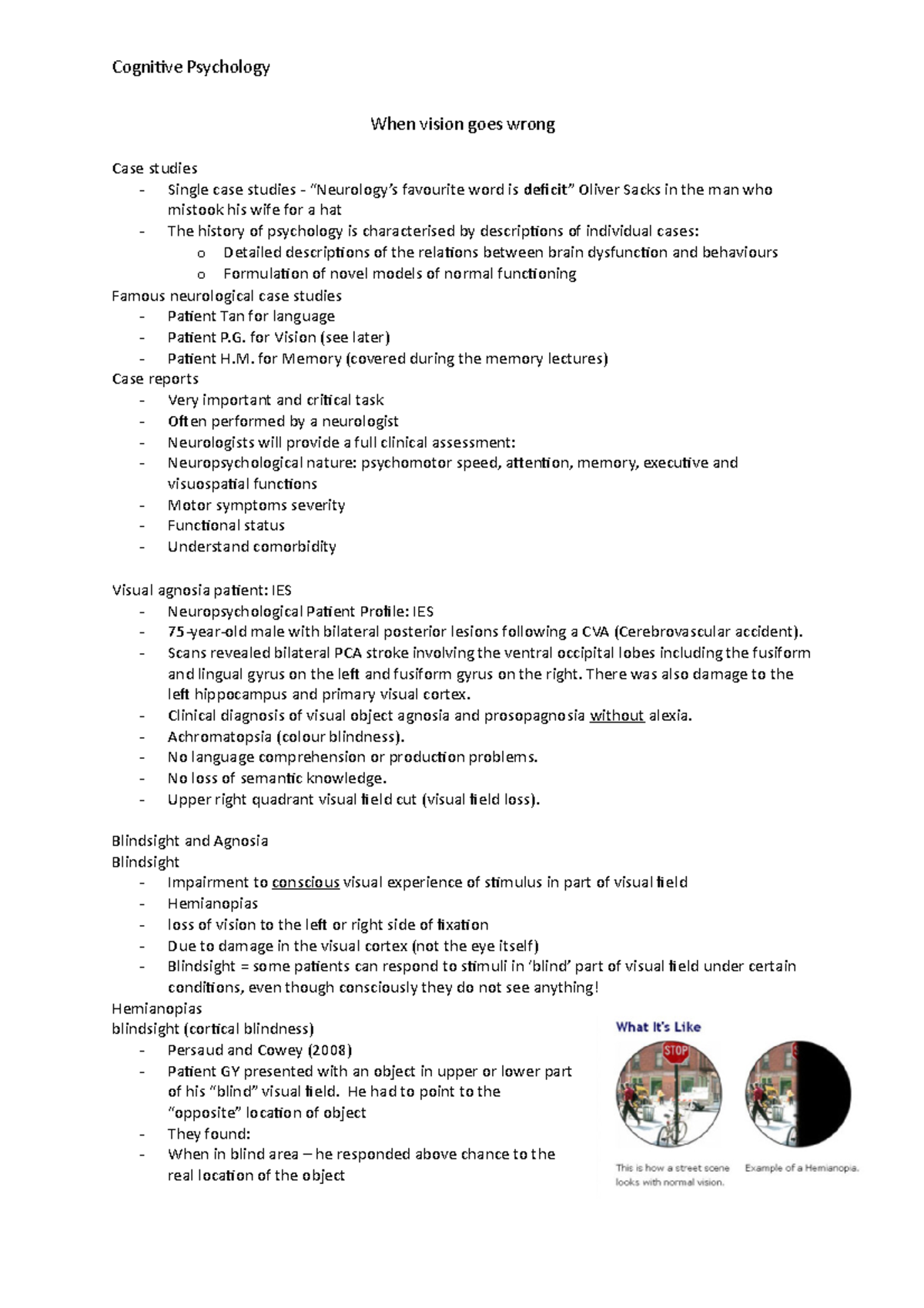 vision case study pdf