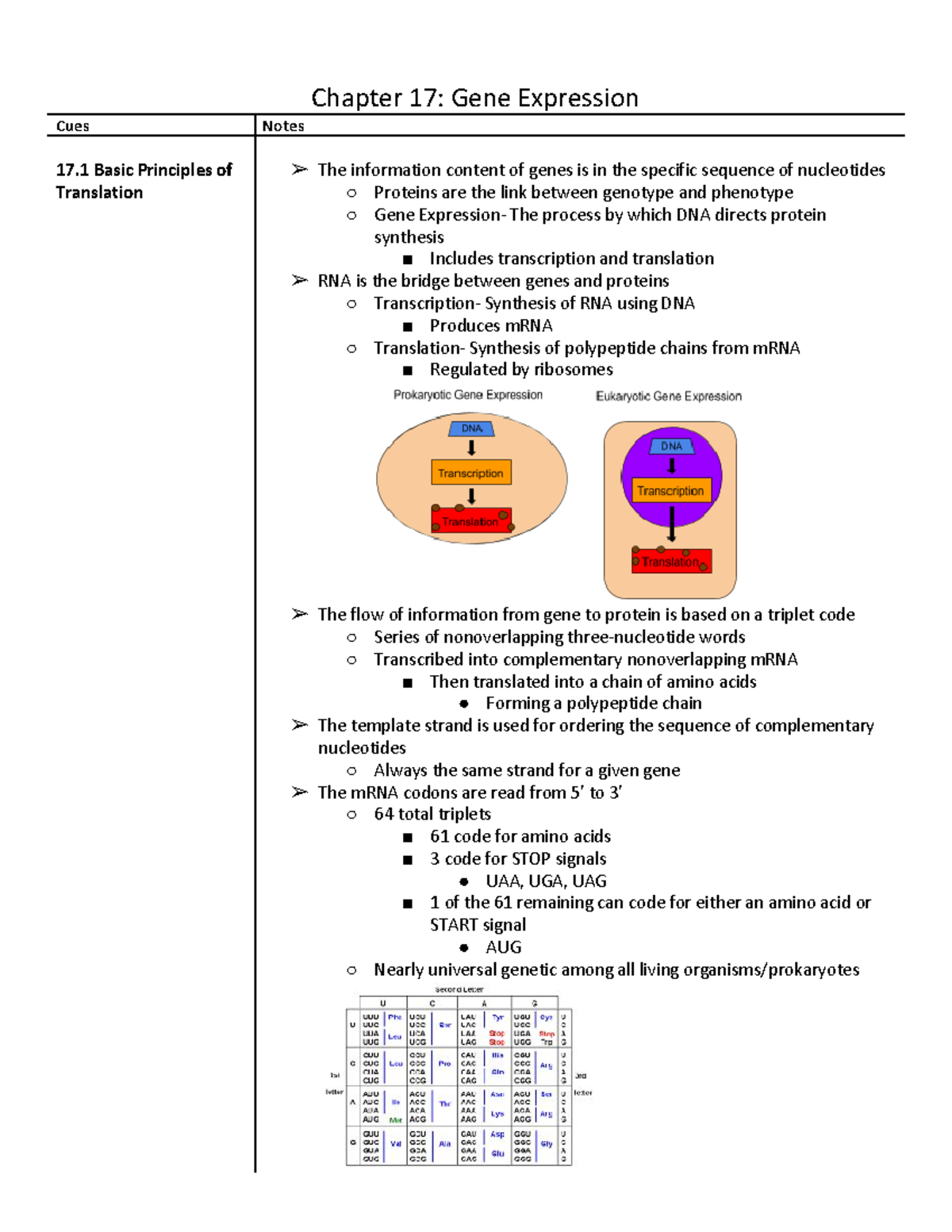 Chapter 17 Gene Expression Chapter 17 Gene Expression Cues Notes 17