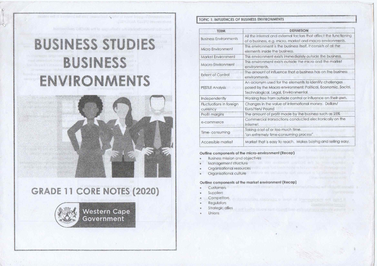 essay on business environment grade 11