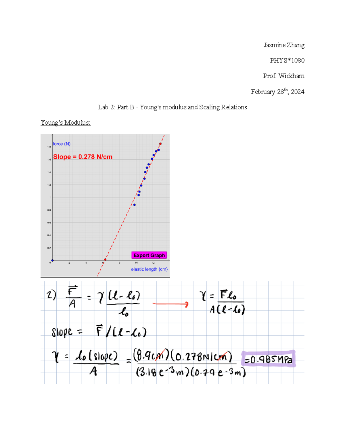 Lab 2 Part B - Young's modulus and Scaling Relations - PHYS1080 ...