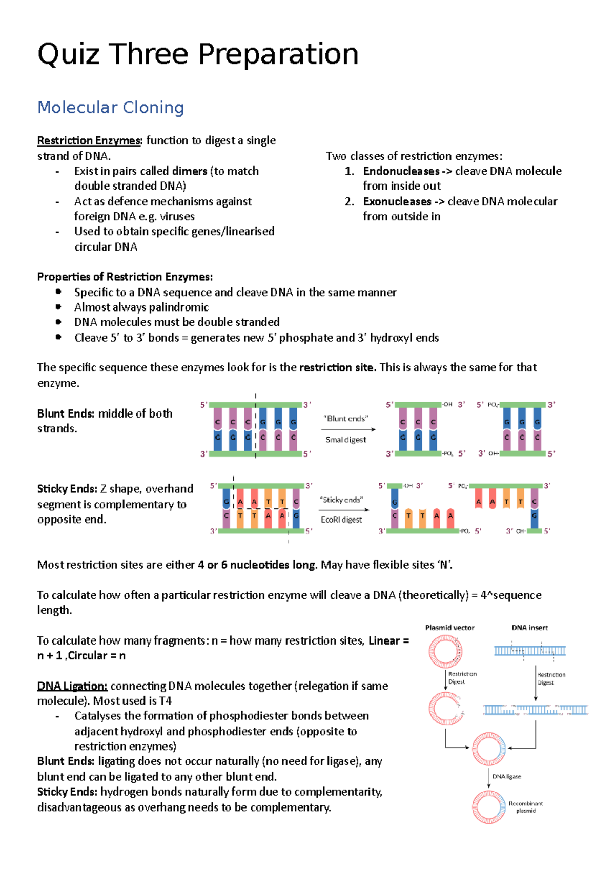 Quiz Three Preparation Quiz Three Preparation Molecular Cloning Restriction Enzymes function