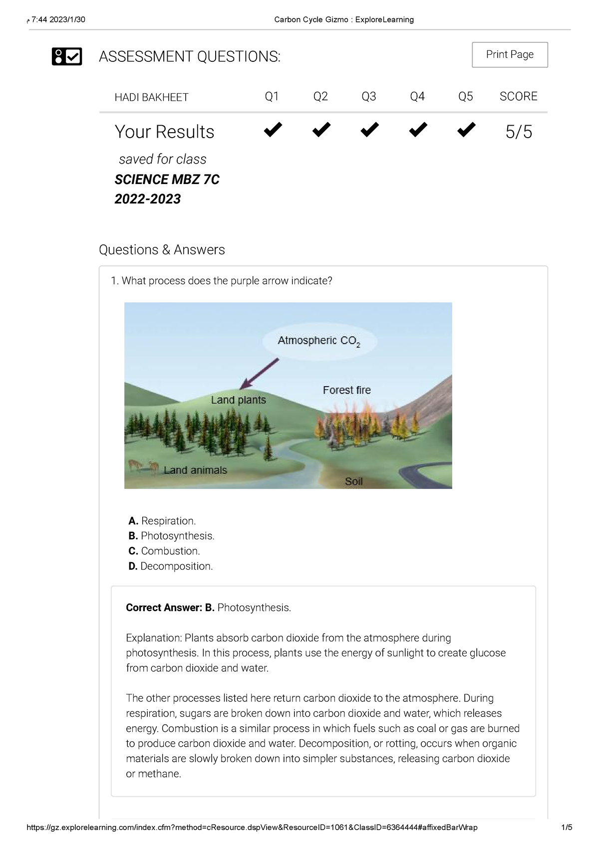 carbon-cycle-gizmo-explore-learning-assessment-questions-print-page