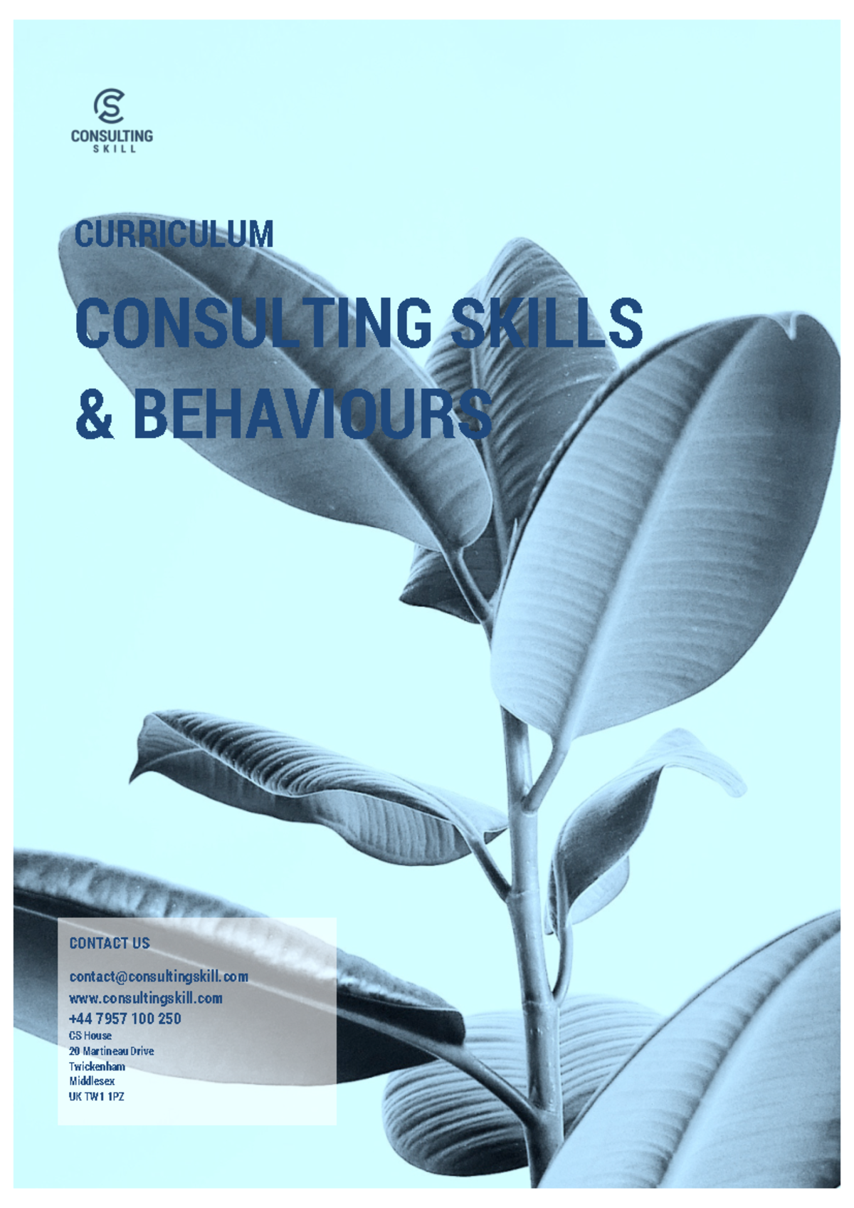 Consultancy Skills - I want to increase knowledge - CONTACT US contact ...