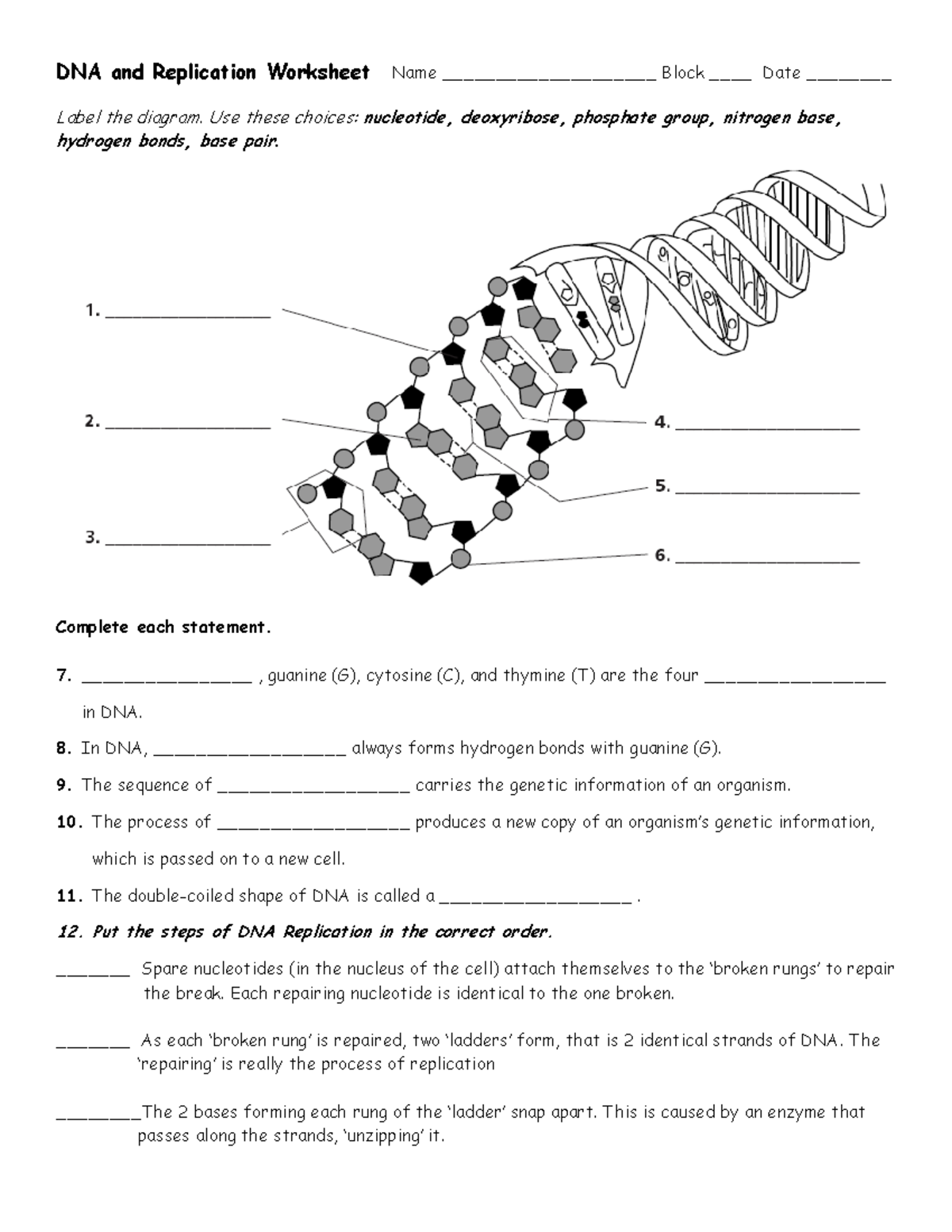 Dna replication worksheet - DNA and Replication Worksheet Name ...