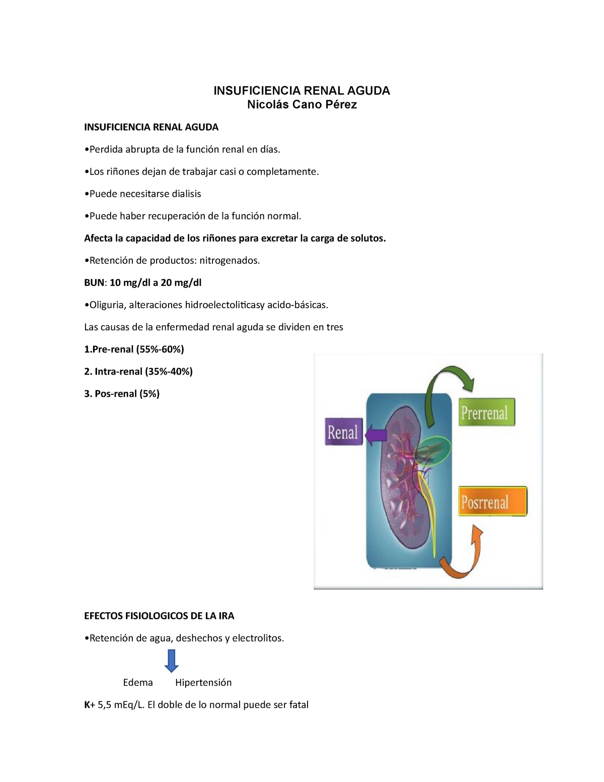 Insuficiencia Renal Aguda Patologia 668008 Studocu