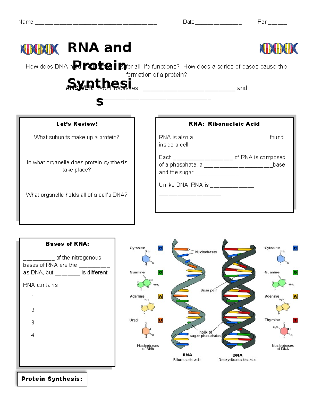 RNA and Protein Synthesis Guided Notes Name _______________________________________ Studocu