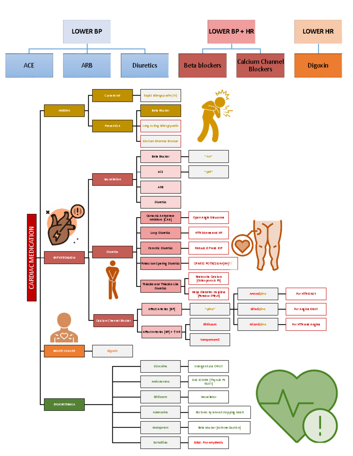 Cardiac Medication-Flow Chart - LOWER BP ACE ARB Diuretics LOWER BP