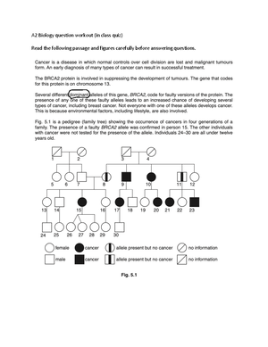 Textbook Ch 11 The Americas 400 - 1500 - MAKING CONNECTIONS What can ...