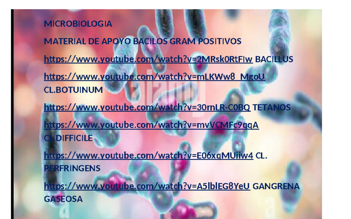 Material DE Apoyo Bacilos Gramp Positivos - Microbiología I ...