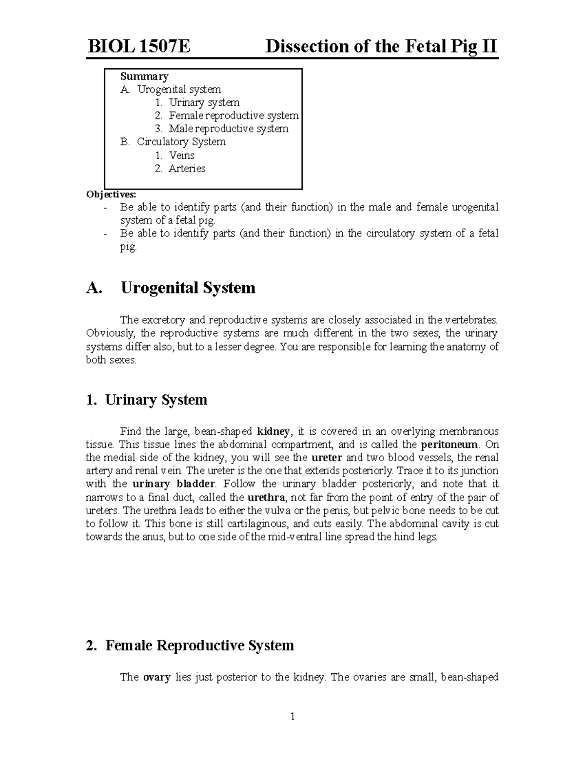 08. Pig dissection II 2021 Summary A. Urogenital system 1. Urinary