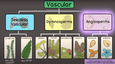 BIOL14120AAA - IOWA - Diversity Of Form And Function - Studocu