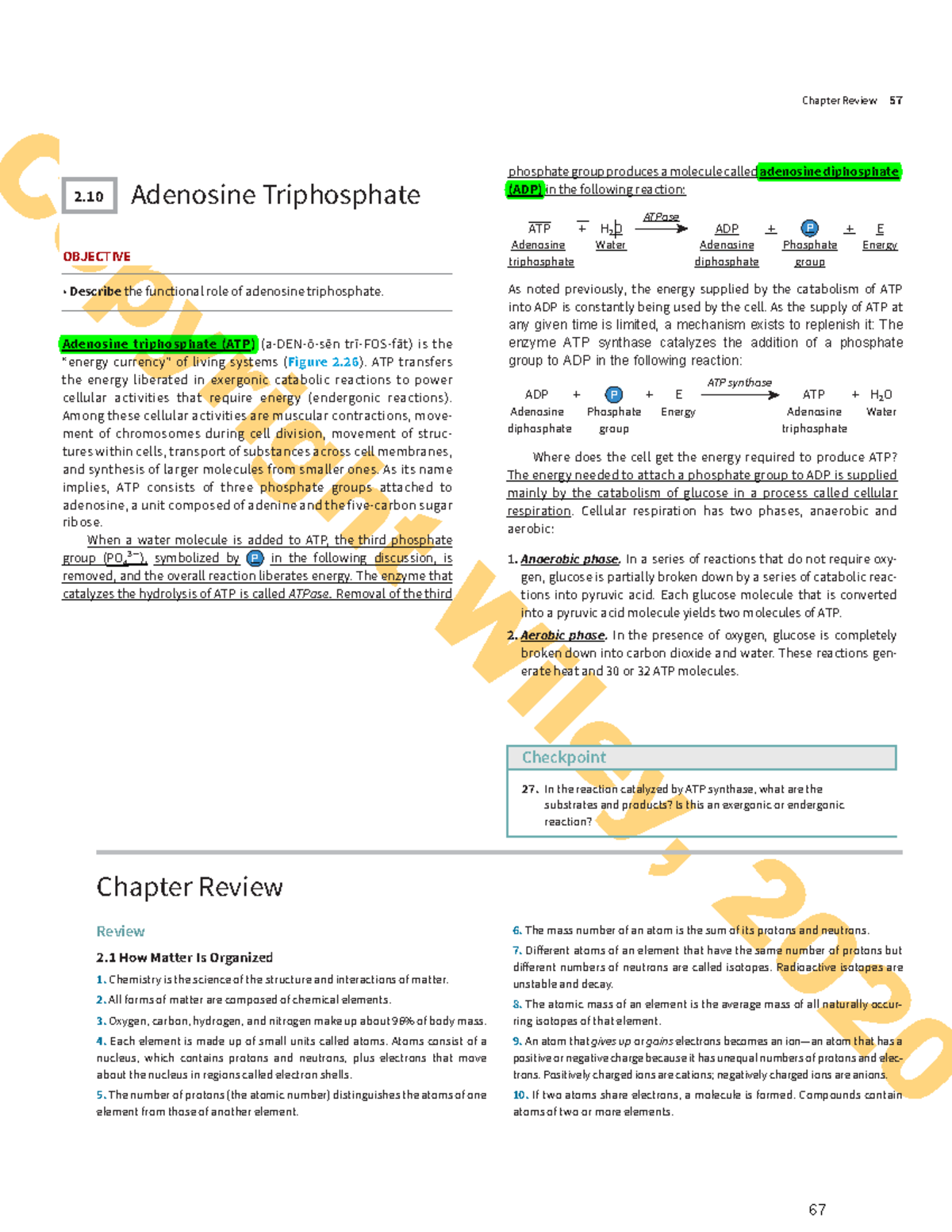 chapter-2-the-chemical-level-of-organization-review-copyright-wiley