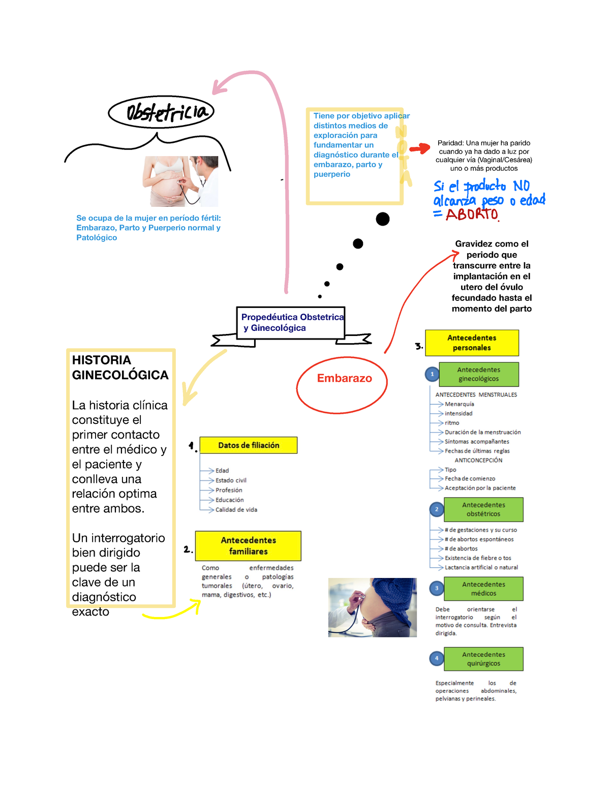 Mapa Mental Propedéutica Ginecológica Y Obstétrica Transacción De Comercio Electrónico No