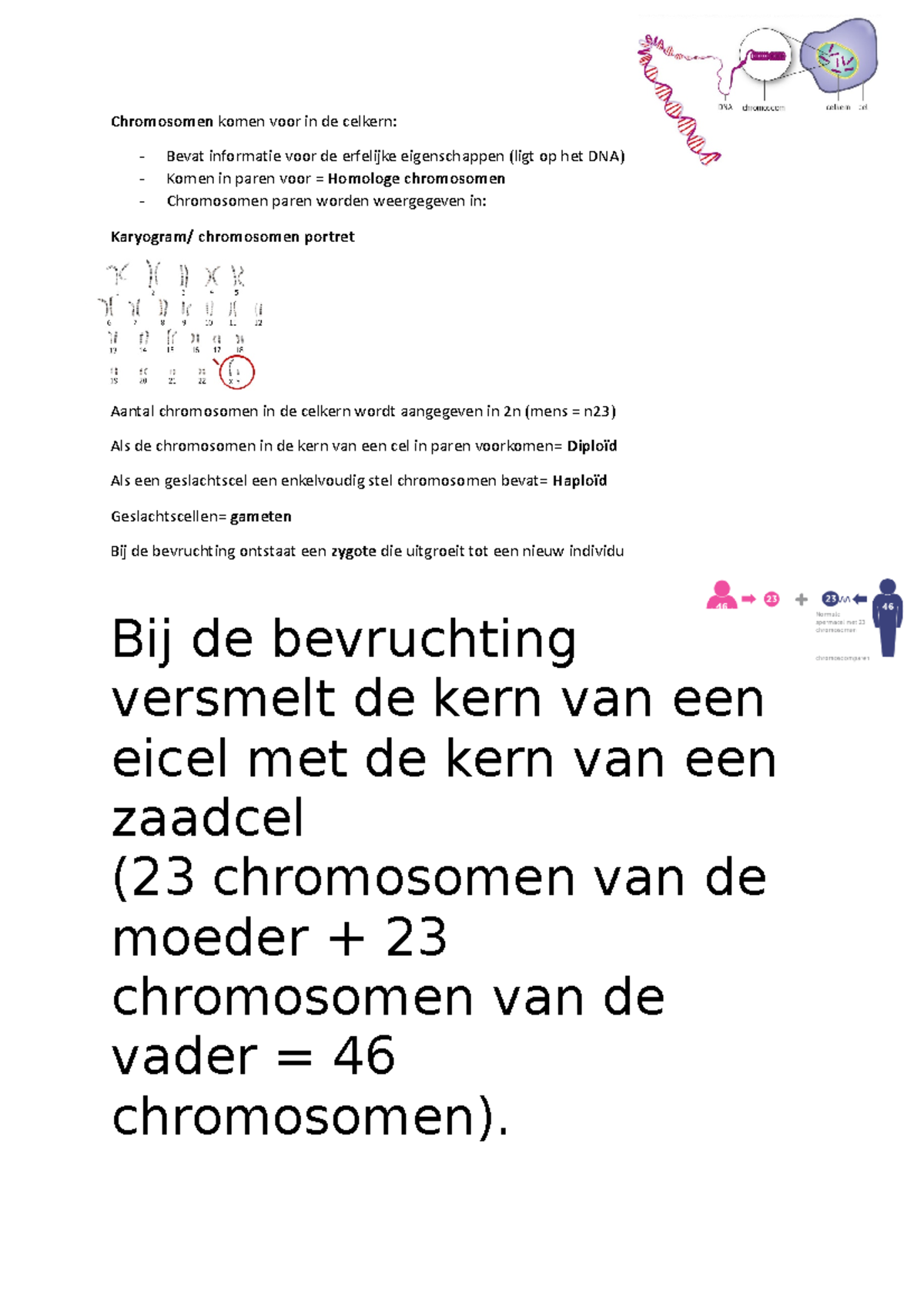 Samenvatting Thema 3 Biologie - Chromosomen Komen Voor In De Celkern ...