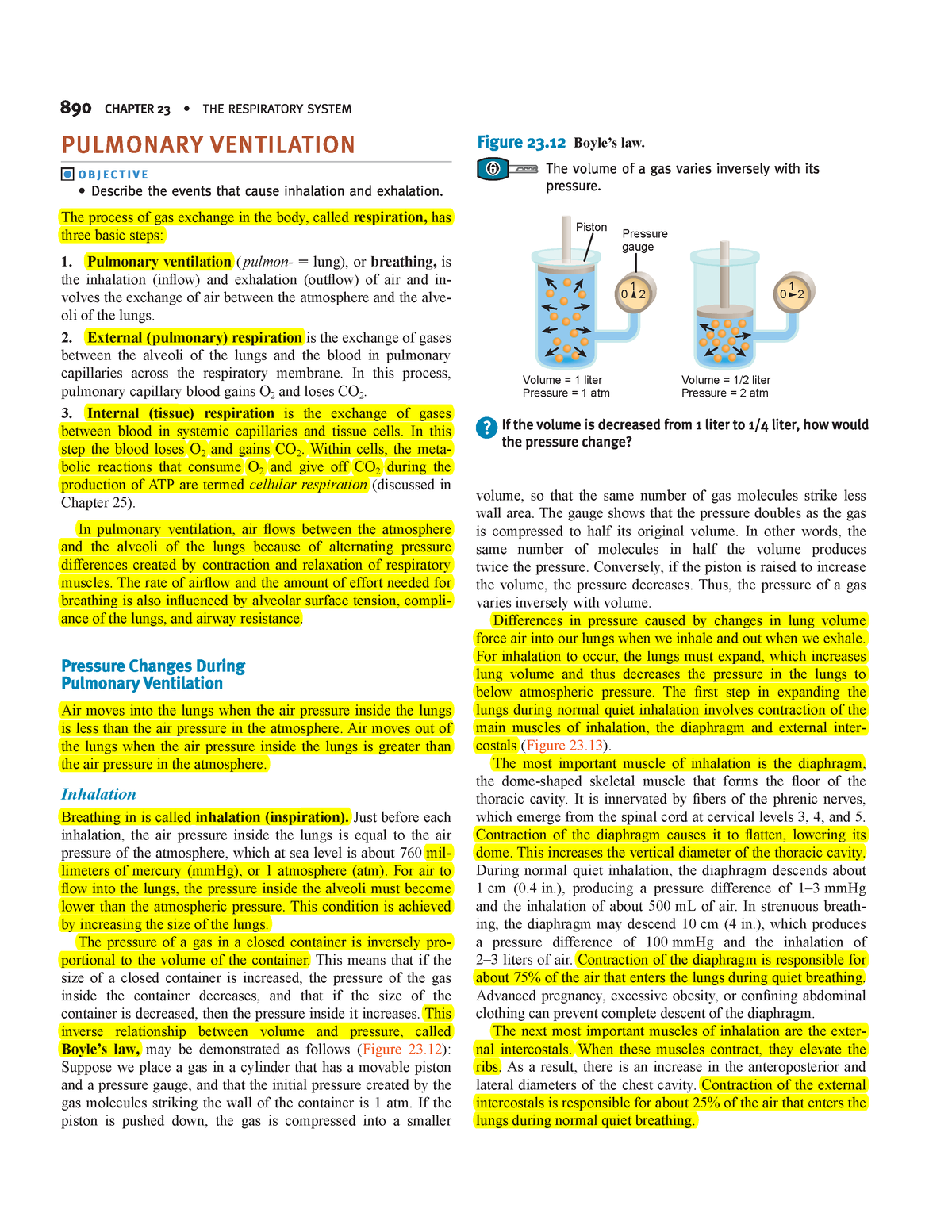 DOC-20230918-WA0030 - Basic Anatomy And Physiology Are Essential For ...