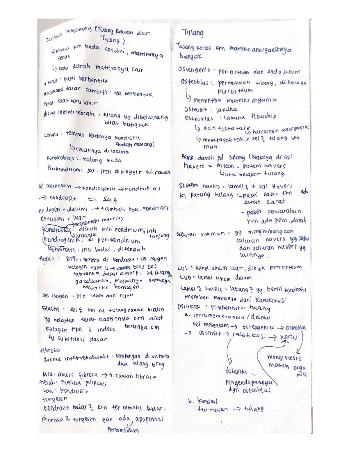 MS Lecture - Notes - Pendidikan Dokter - Studocu