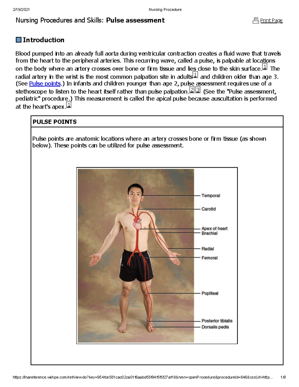 Pulse assessment This recurring wave, called a pulse, is palpable at