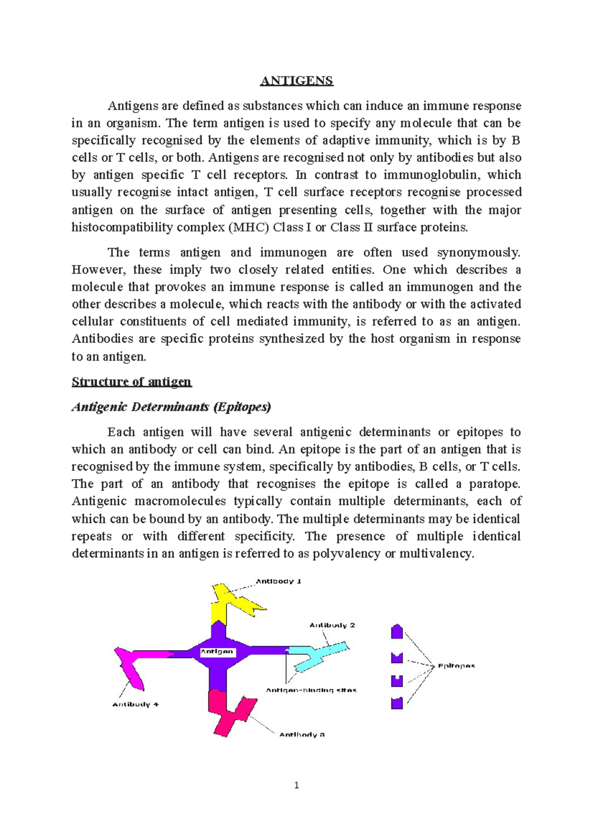 Antigens AND Antibodies ANTIGENS Antigens are defined as substances