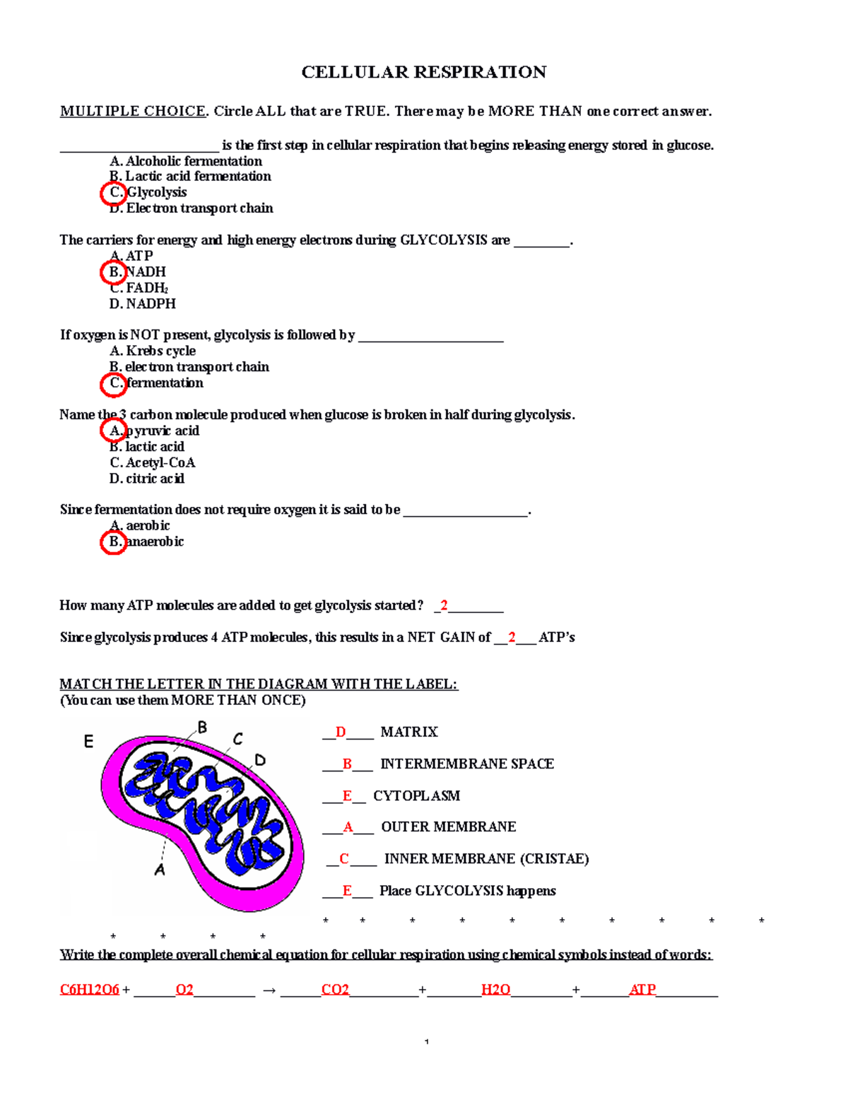 What Is The Main Product Of Cellular Respiration Multiple Choice Question