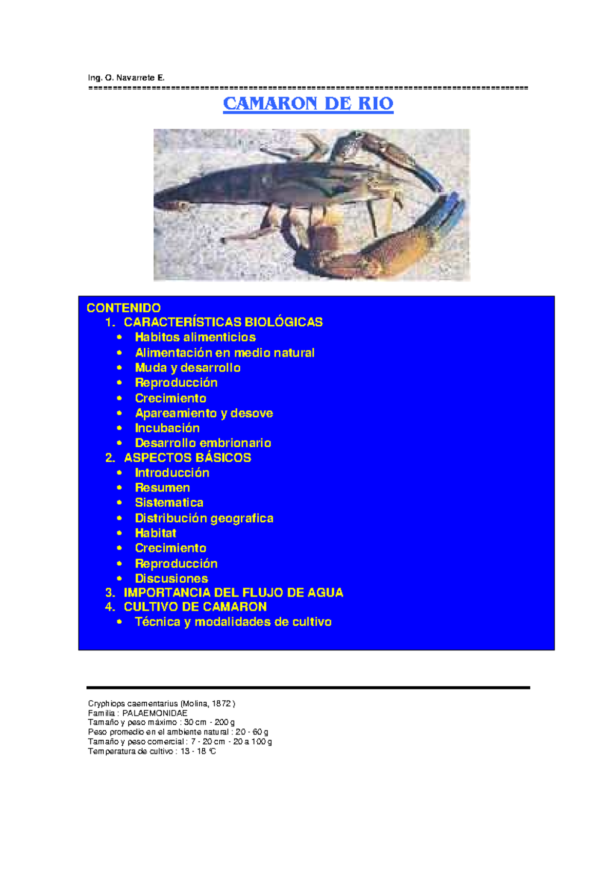 Camaron de rio - Información del camarón - Ing. O. Navarrete E. CAMARON
