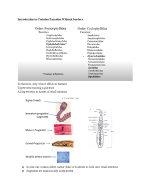 Human parasitology notes- chapter 4 - 146:328 - Studocu