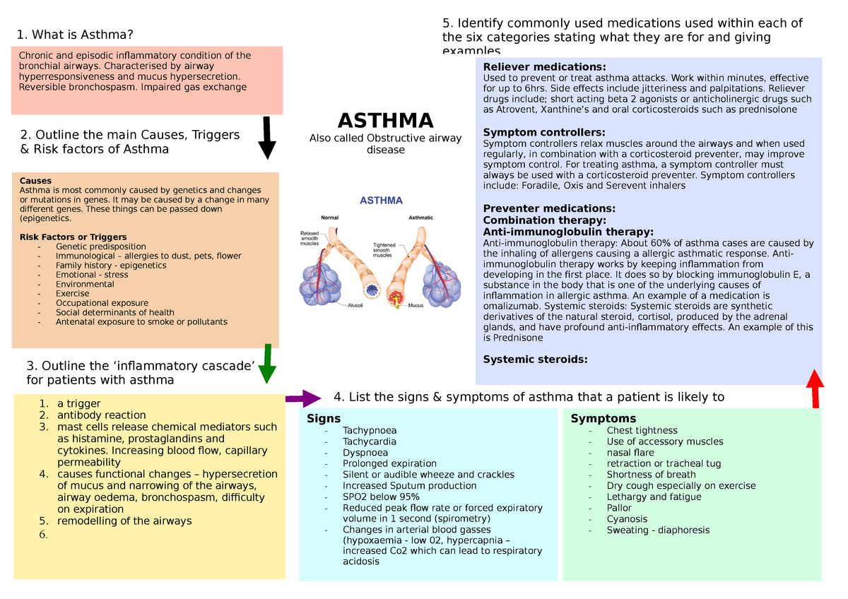 Bronchial Asthma Concept Map