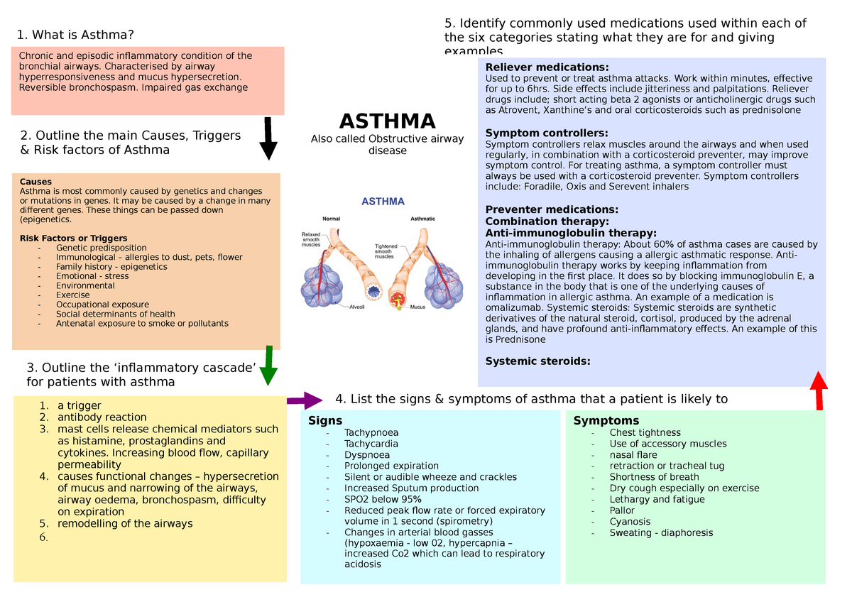 Asthma Concept Map