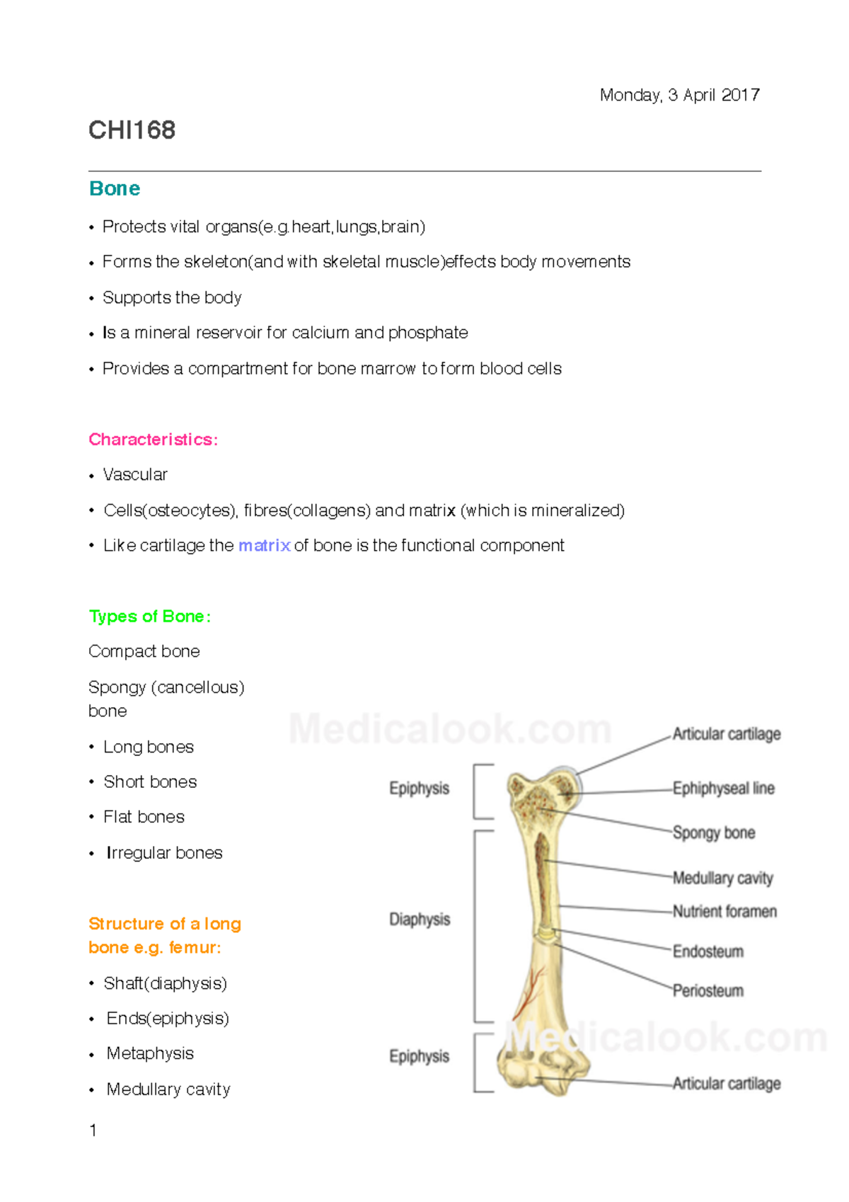 CHI168 lecture week 6 - CHI168! Bone! Protects vital organs(e.g,lungs ...