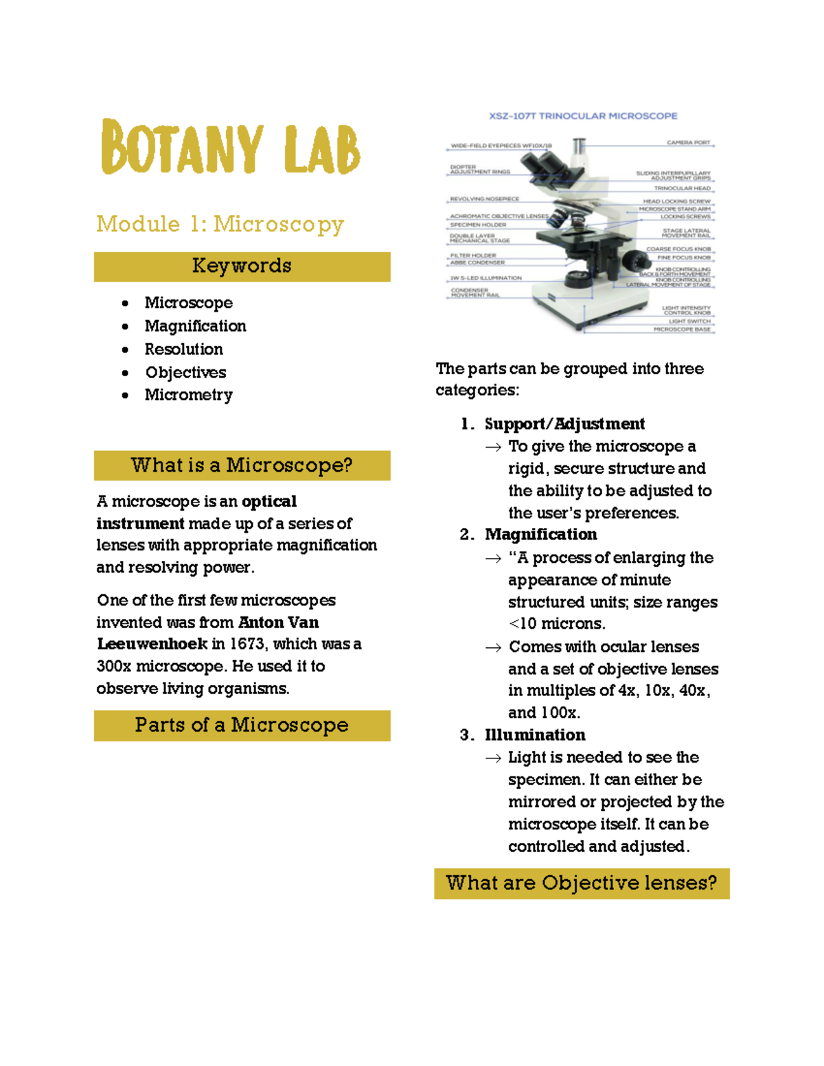 Botany Lab Module 1 - Introduction to Microscopy - Botany lab Module 1 ...