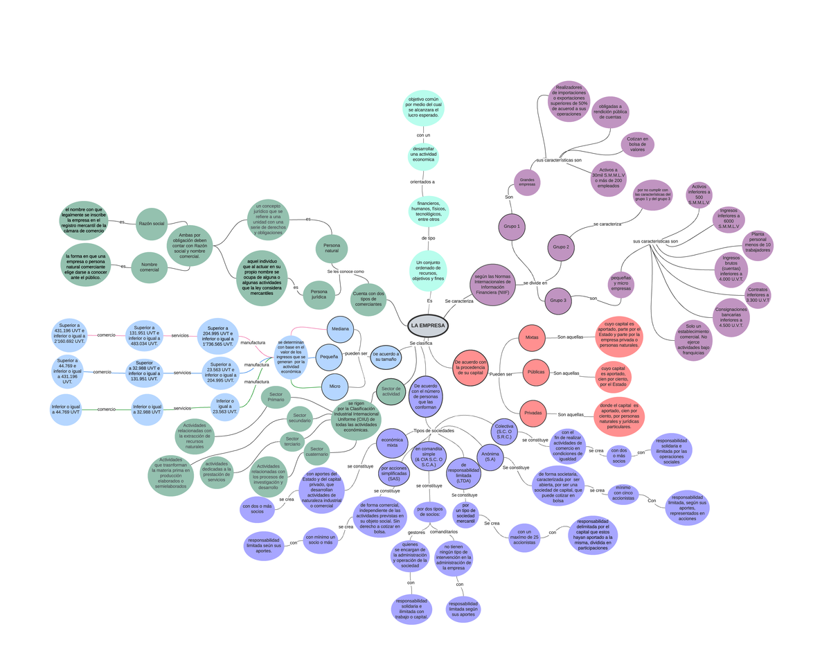 Mapa mental - asociar los concepto de contabilidad, empresas, socios y ...