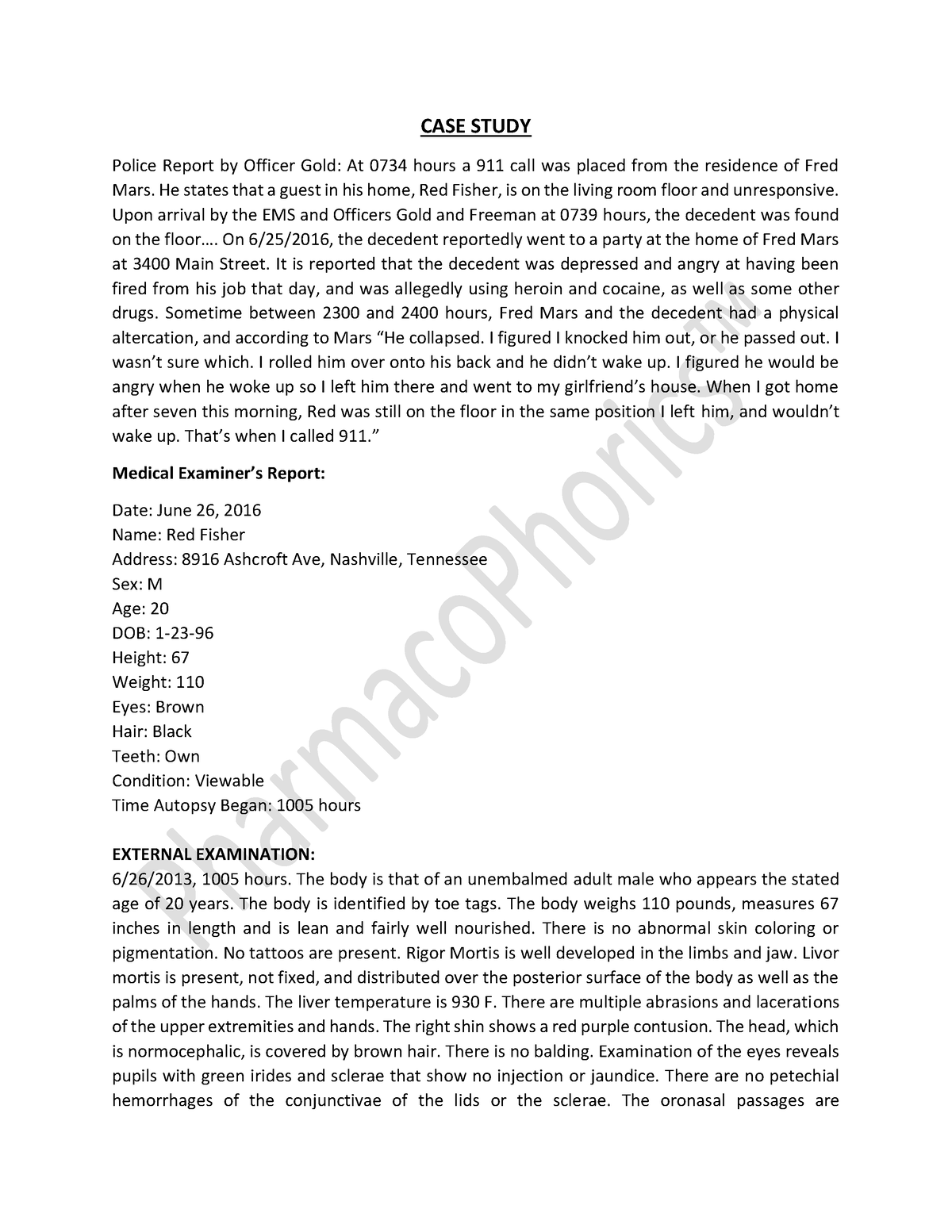 case study in police service pdf