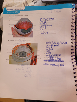 20230310 125805 - this is practice worksheet about labeling the anatomy ...