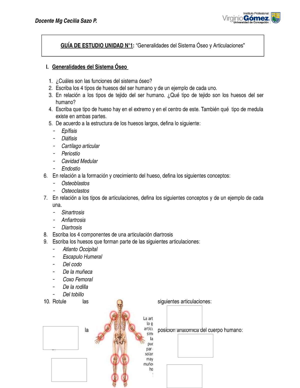 2020 GuÍa U1 Generalidades Del Sistema Oseo Y Articulaciones Docente Mg Cecilia Sazo P GuÍa 7777