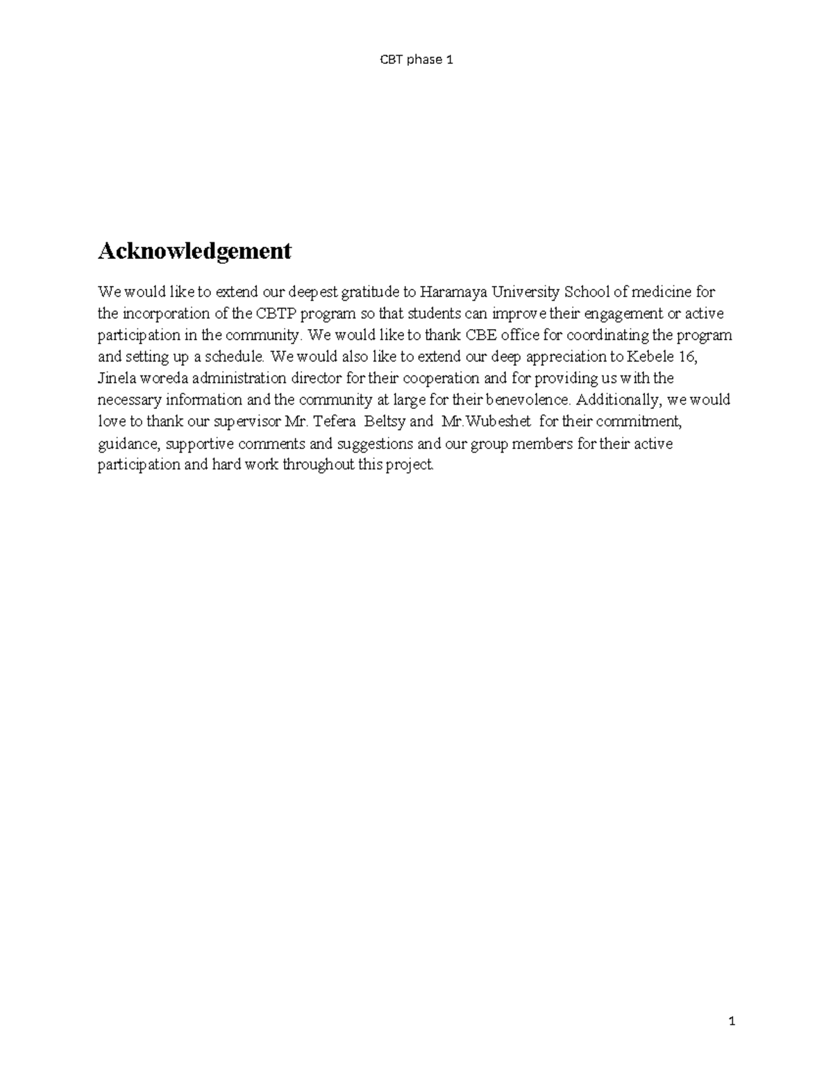 Final introduction, objective and litrature review - Acknowledgement We ...