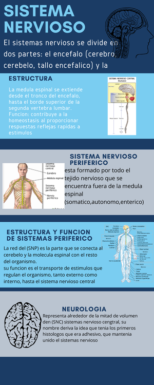 Pr Ctica Manejo De Rpbi En La Materia De Fisiologia Fisiolog A